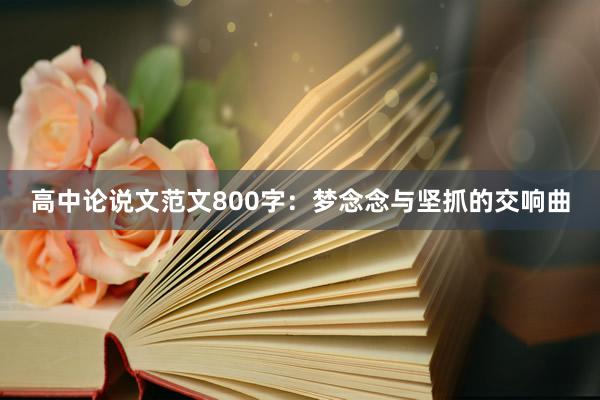 高中论说文范文800字：梦念念与坚抓的交响曲