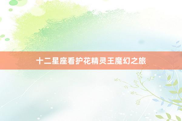 十二星座看护花精灵王魔幻之旅